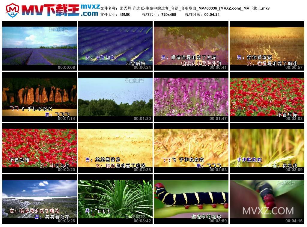 张秀卿 许志豪-生命中的过客_台语_合唱歌曲_MA403036